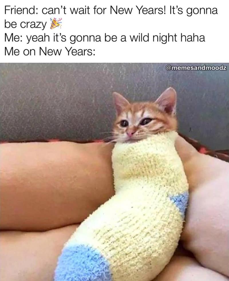 A funny new years meme showing a cat wrapped in a sock representing staying home instead of partying.