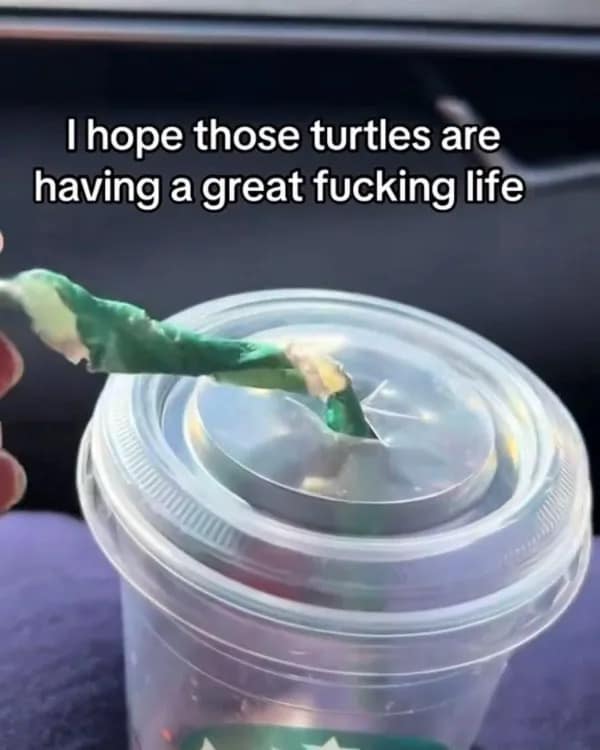 Soggy paper straw in plastic cup with caption about saving turtles.