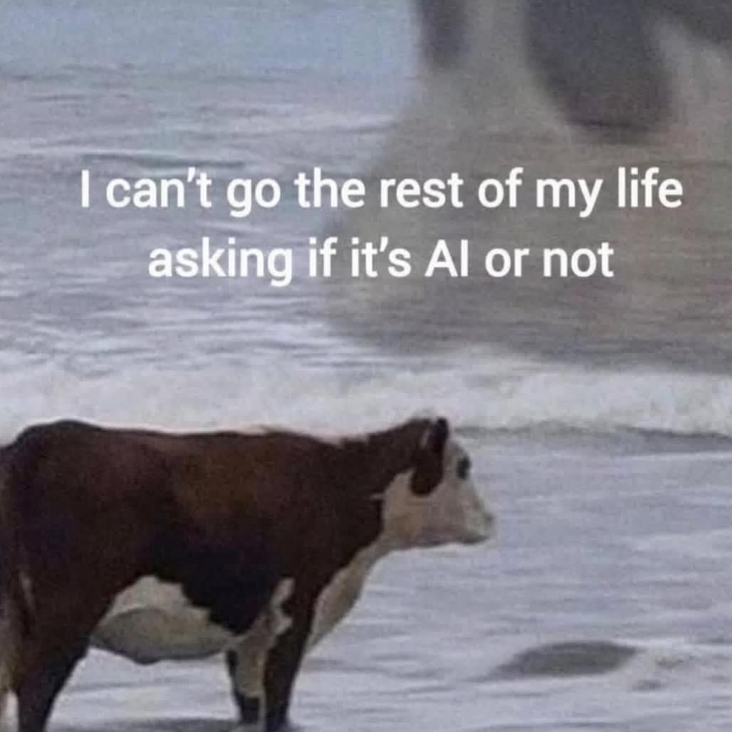 Cow standing on sandy beach near ocean waves with text about AI confusion.