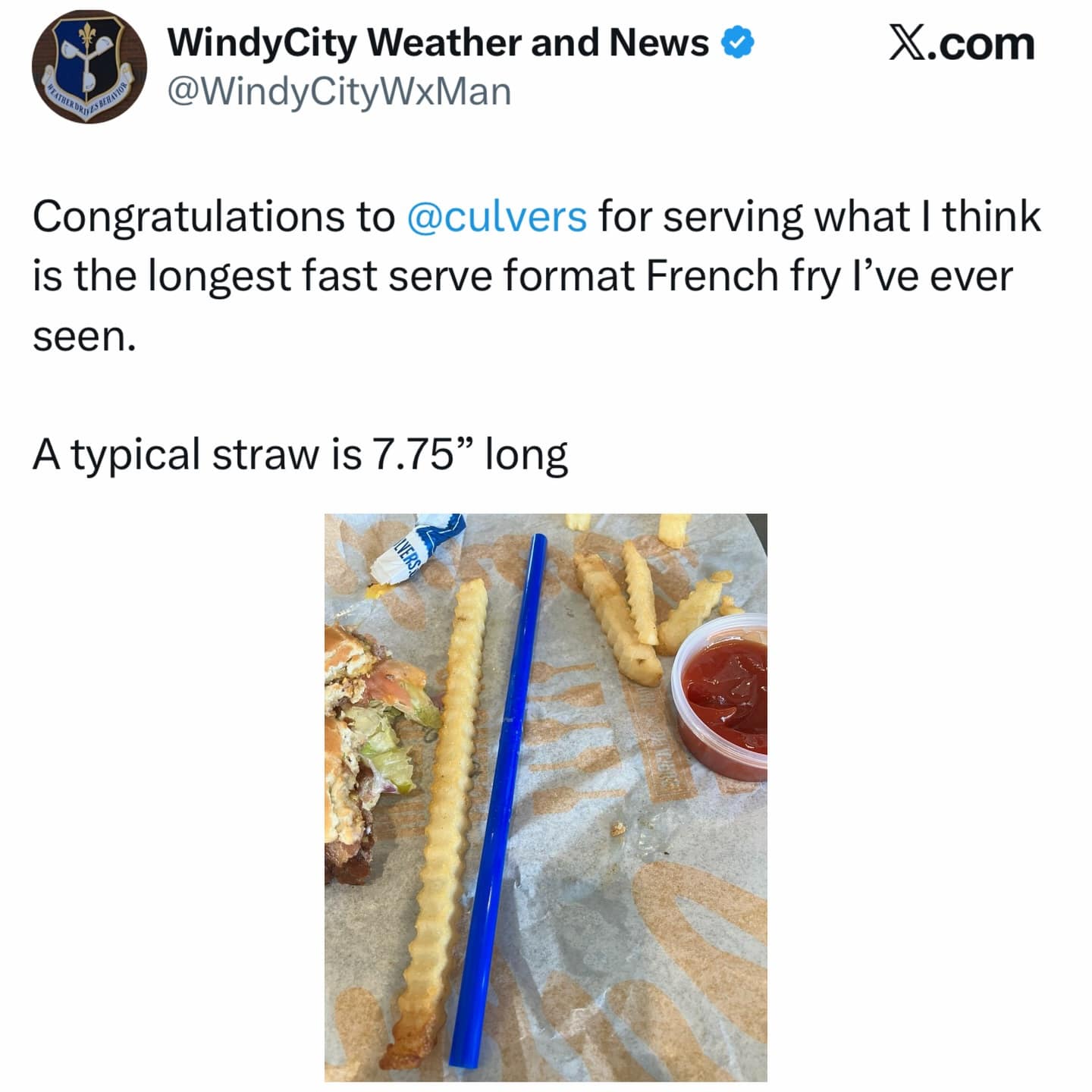 Photo of exceptionally long crinkle cut french fry next to straw funny pics.