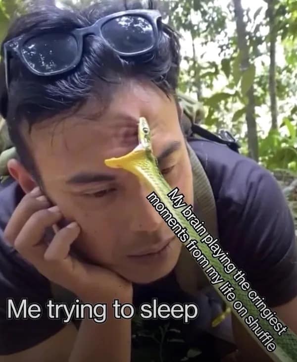 Snake biting man on forehead meme about intrusive cringe memories at night.