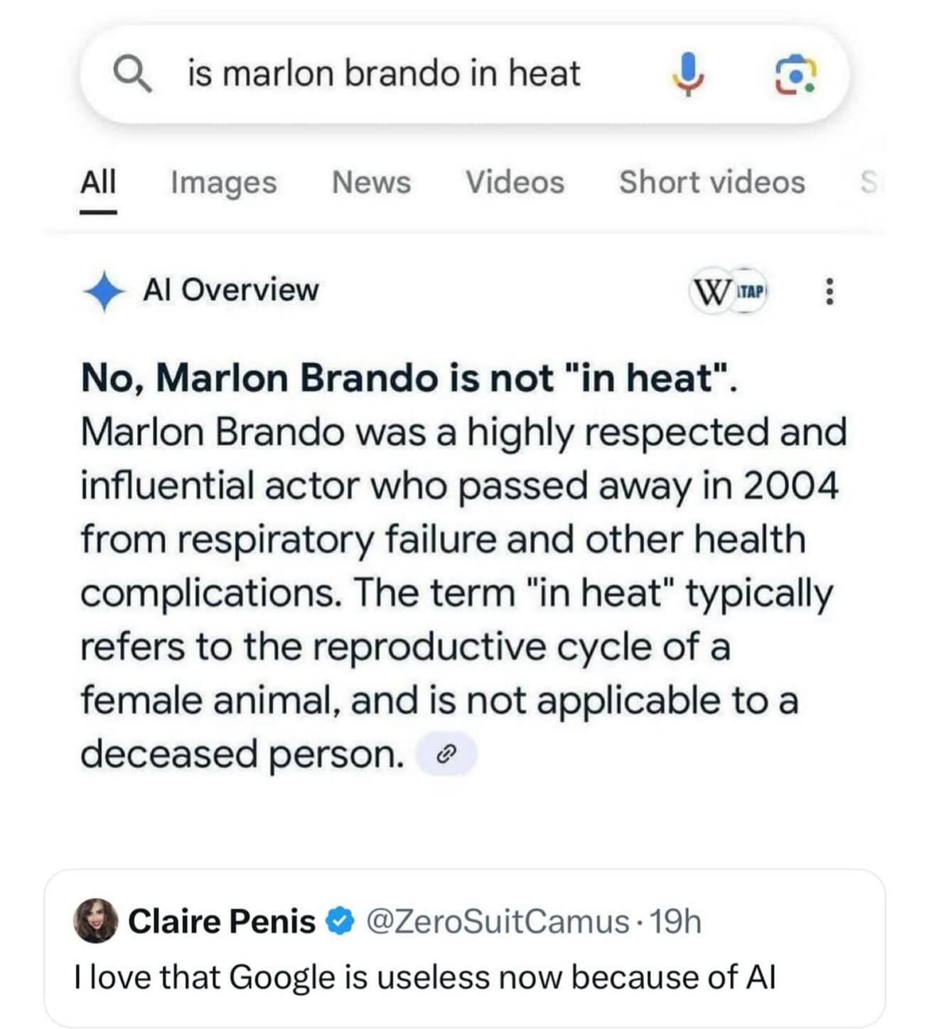 Google AI Overview search result denying that actor Marlon Brando is in heat.