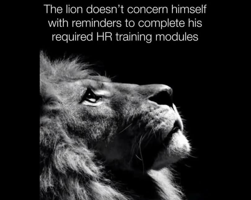 This funny pic shows a majestic lion refusing to do HR training modules