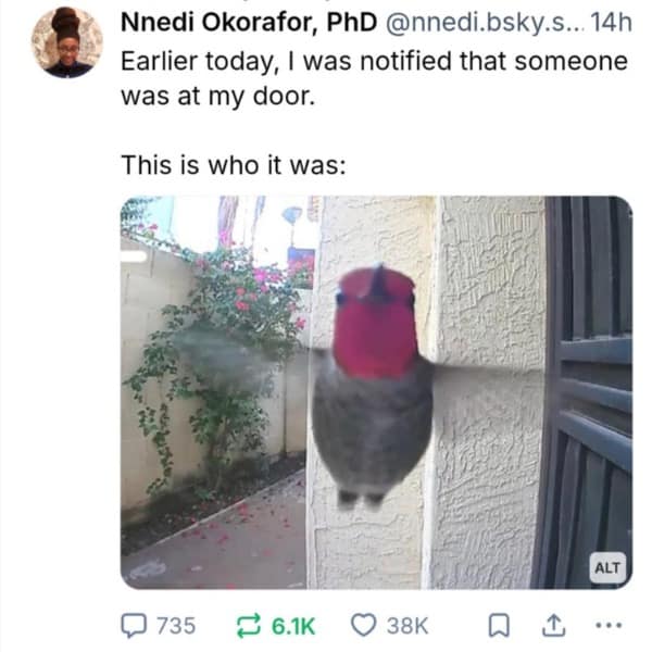 Red-headed hummingbird hovering directly in front of a doorbell camera lens.
