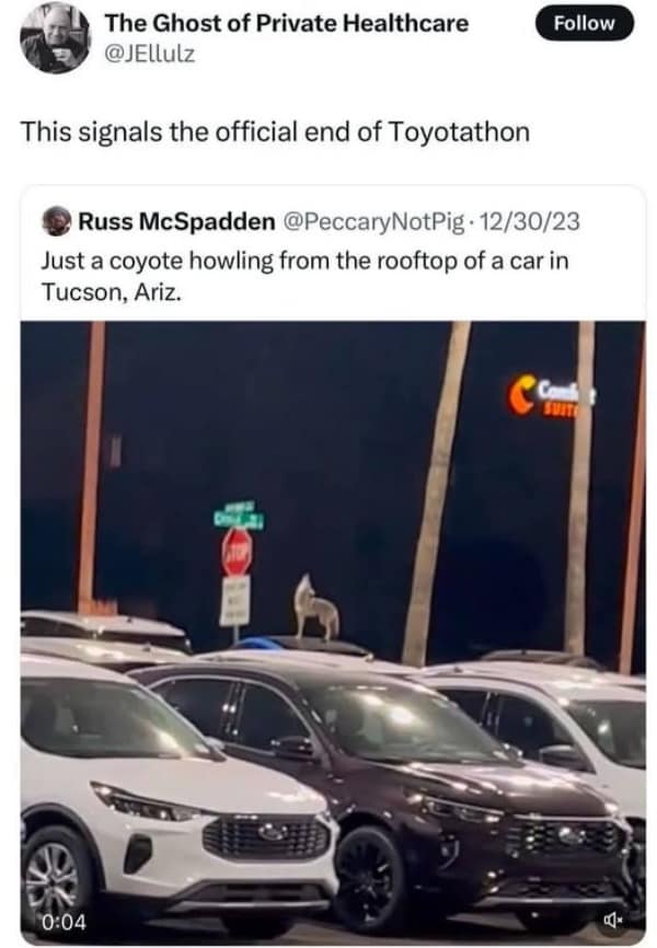 Coyote howling while standing on the roof of a parked car at night.