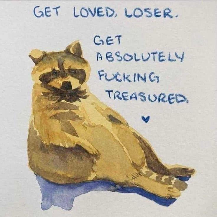 Watercolor painting of a chubby raccoon with the aggressive caption Get Loved Loser.