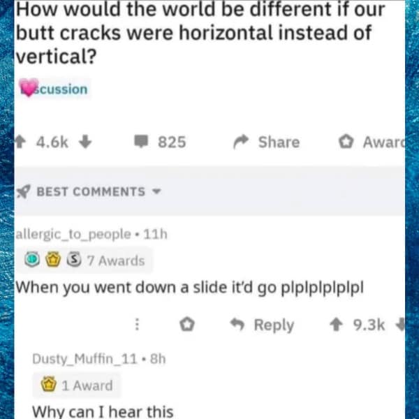 Reddit comment describing the sound a horizontal butt crack would make on a slide.