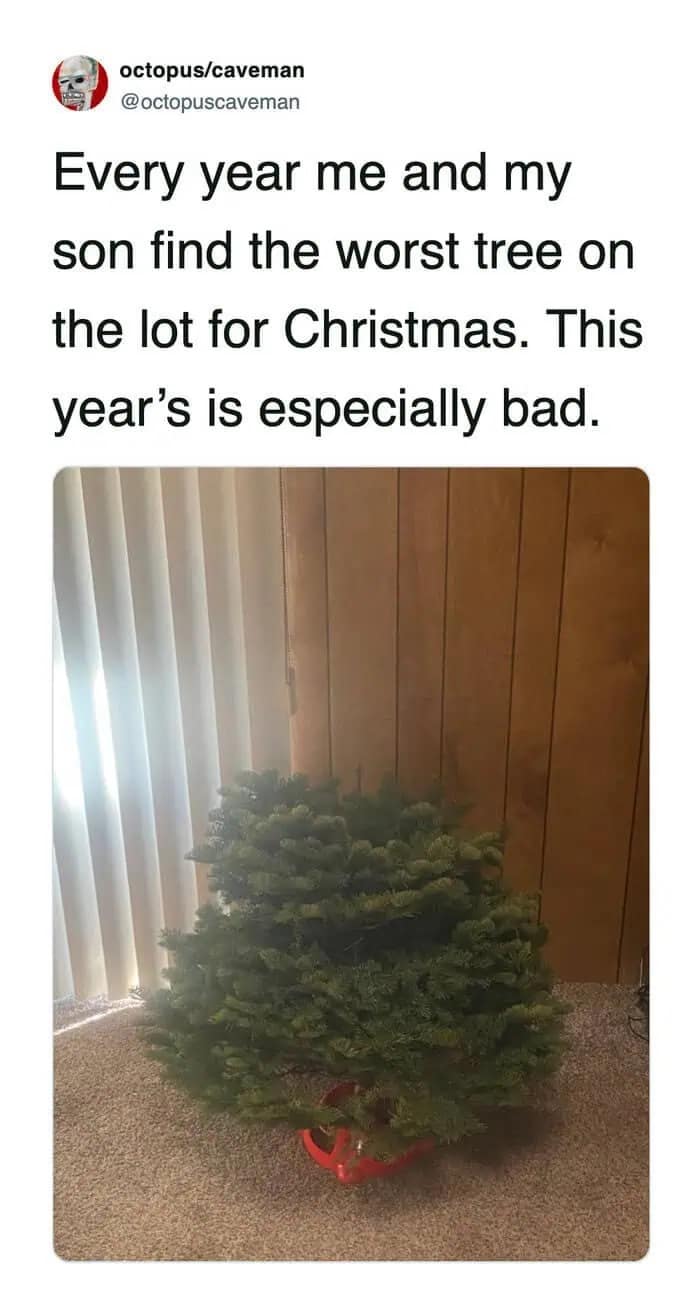 Extremely short, wide, and sparse Christmas tree sitting on a living room floor.