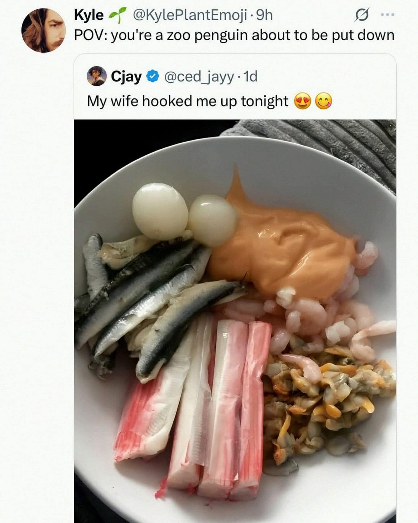 Plate of raw seafood and onions compared to a zoo penguin's final meal.