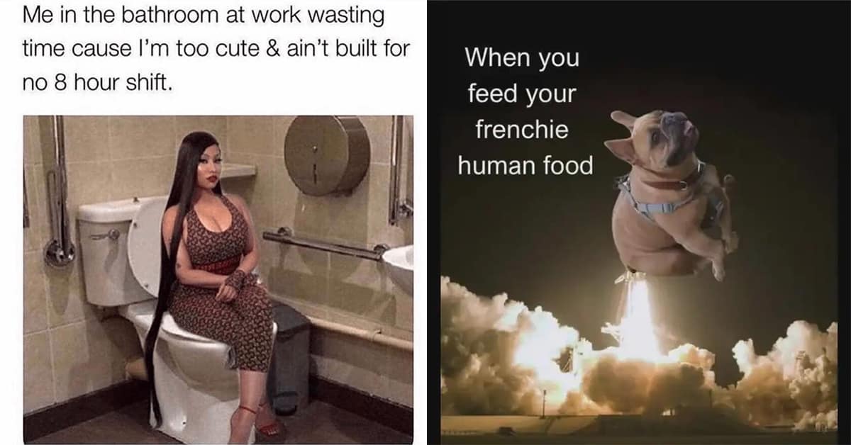 Collection of a funny pic gallery and funny meme compilations featuring Spider-Man and 70s architecture