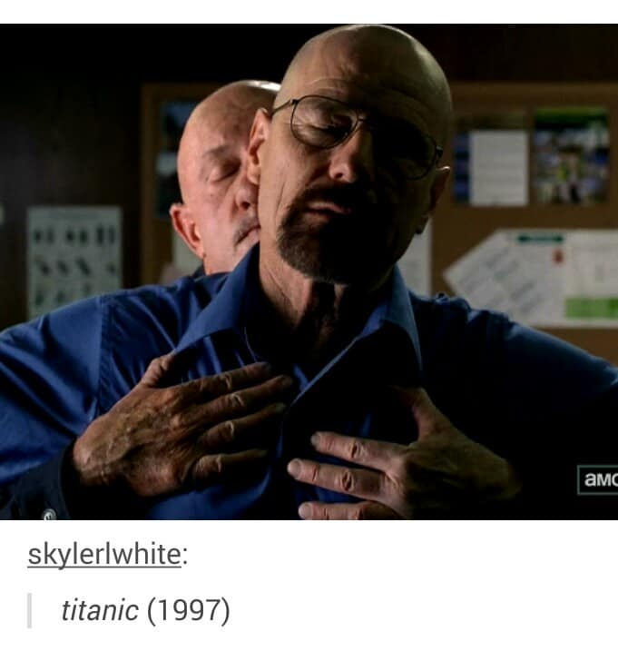A funny pic showing Walter White holding Mike from Breaking Bad like Titanic.