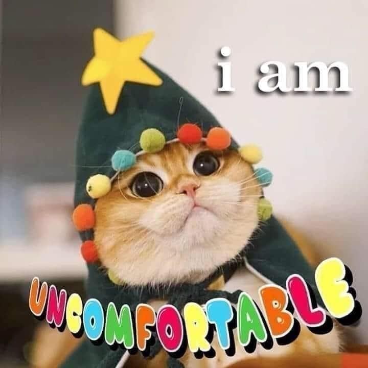 A funny pic of a cat in a Christmas hat looking uncomfortable.