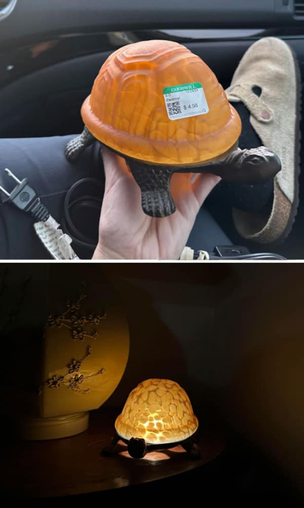 A funny thrift store find of a small turtle lamp with a glowing amber shell.