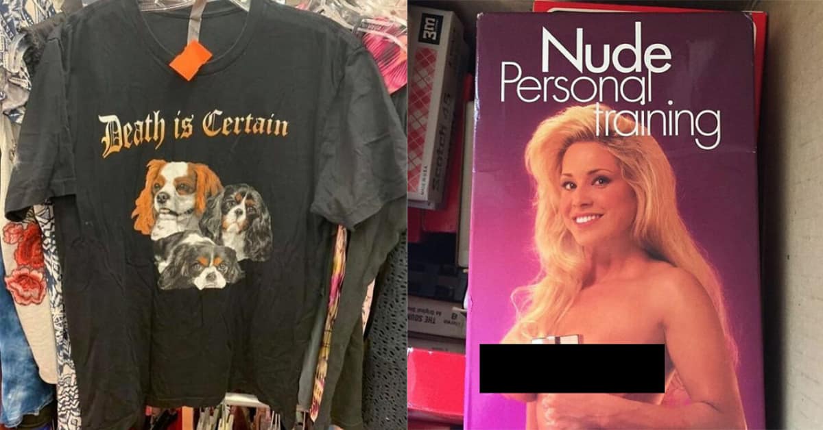 Collection of funny thrift store find images and unhinged thrift store item compilations featuring E.T. art and turtle lamps