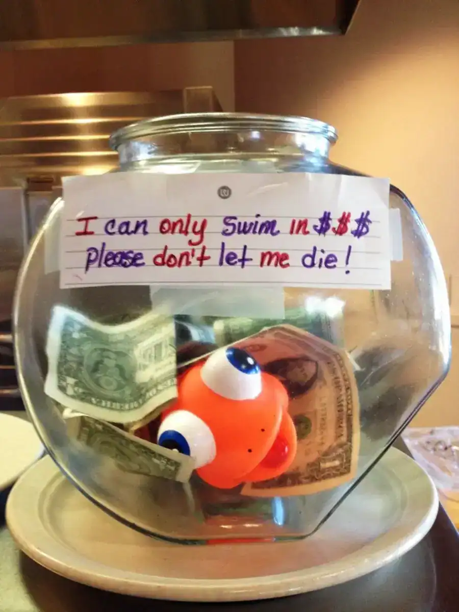 A funny tip jar fishbowl with a toy fish that claims it can only swim in money.