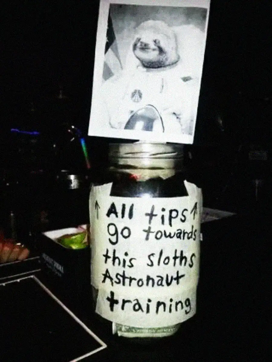 A funny tip jar featuring a sloth in a space suit asking for astronaut training funds.