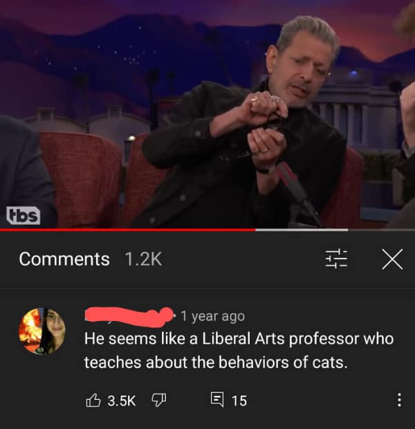 A funny youtube comment describing Jeff Goldblum as a liberal arts cat professor.