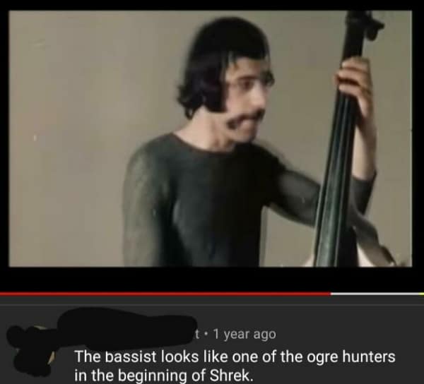 This funny youtube comment says a bassist looks like a Shrek character