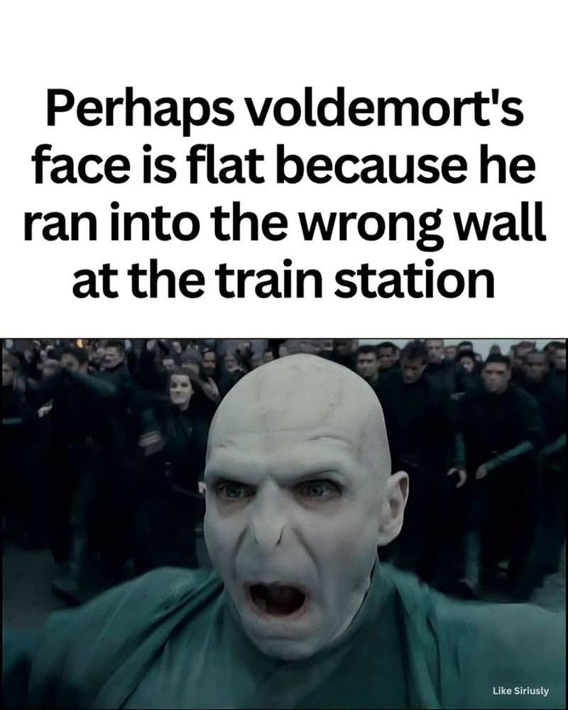 A Harry Potter meme suggesting Voldemort's face is flat from a wall impact.