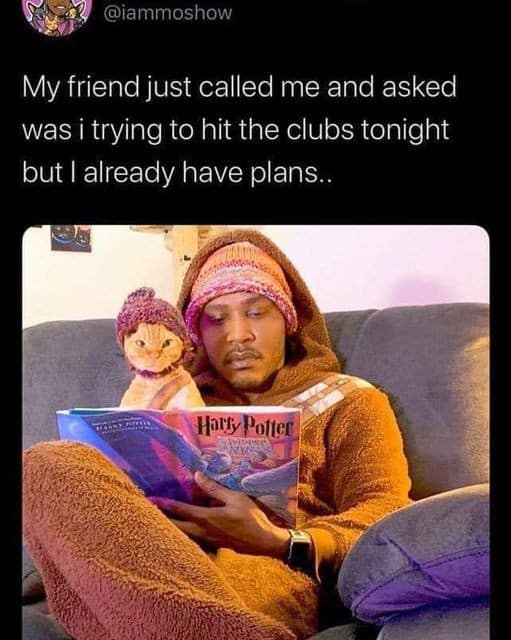 A Harry Potter meme of a cat in a knit hat reading a book.