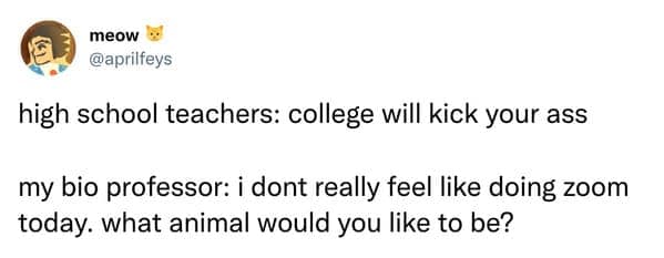 Tweet describing a biology professor casually asking students their preferred animal during a Zoom class.