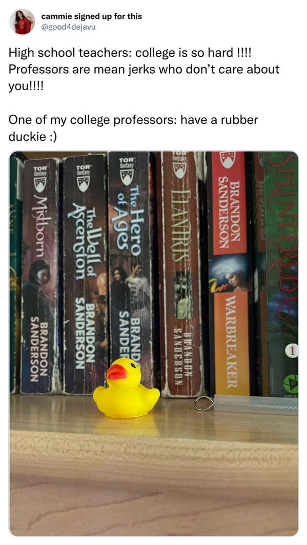 Bookshelf filled with fantasy novels and a small rubber duck representing a chill college professor.