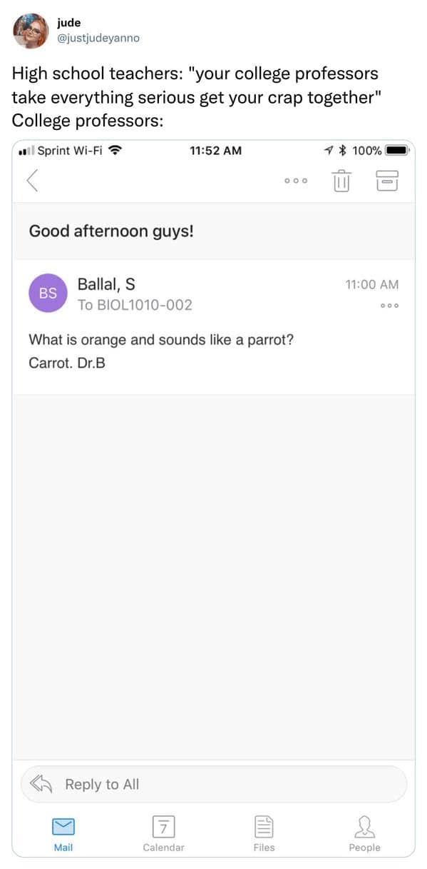 Email screenshot of a biology professor sending a cheesy dad joke about a carrot to the class.