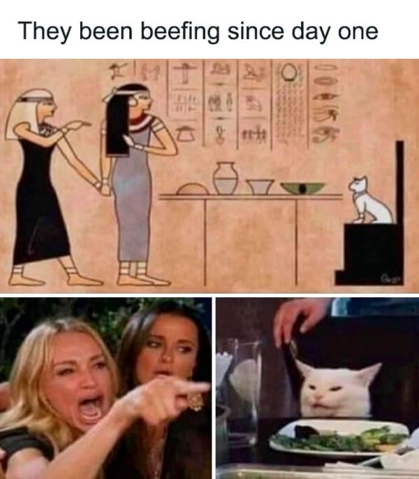 A history meme comparing an Ancient Egyptian hieroglyph to the Woman Yelling at a Cat meme.