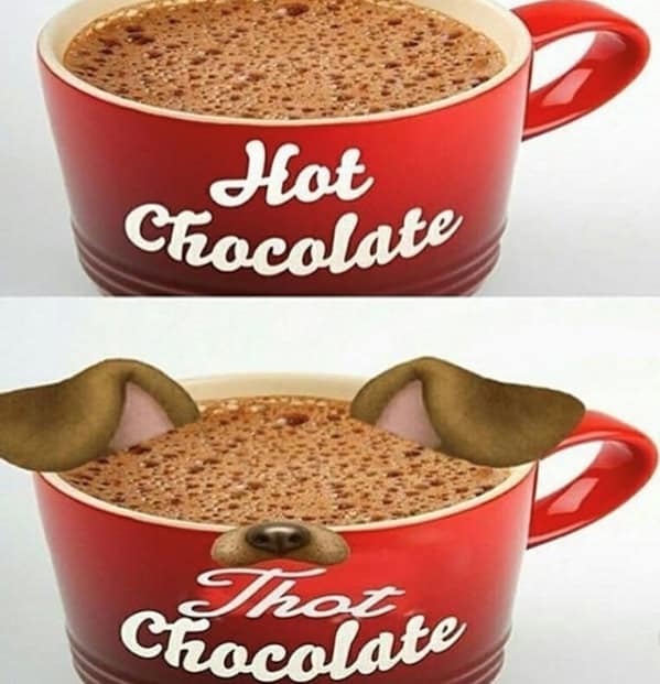A hot chocolate meme comparing a normal mug to "thot chocolate" with a dog filter.