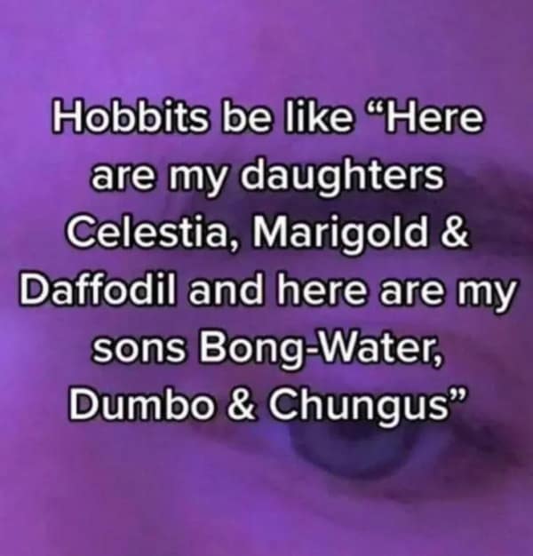 A lotr meme mocking Hobbit naming conventions for sons versus daughters.