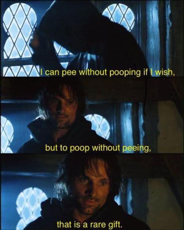 A lotr meme of Aragorn giving wise but crude advice about bathroom habits.