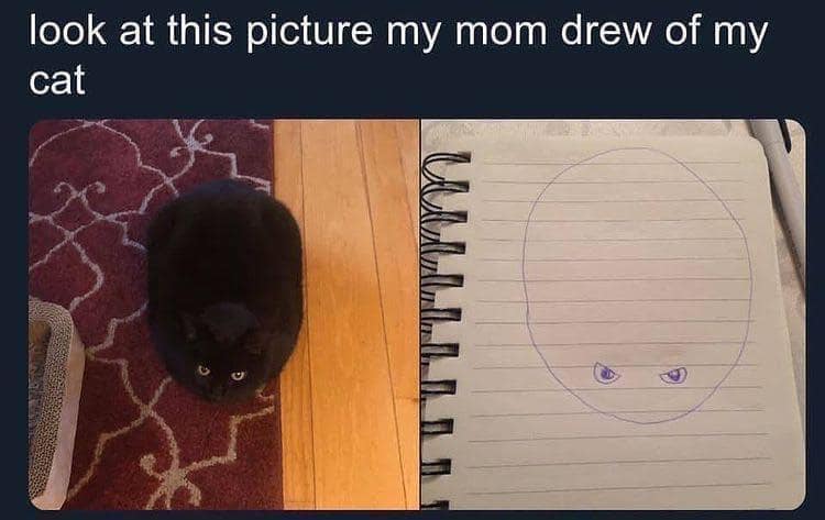 A hilarious meme comparing a photo of a black cat to a child's crude drawing of it.
