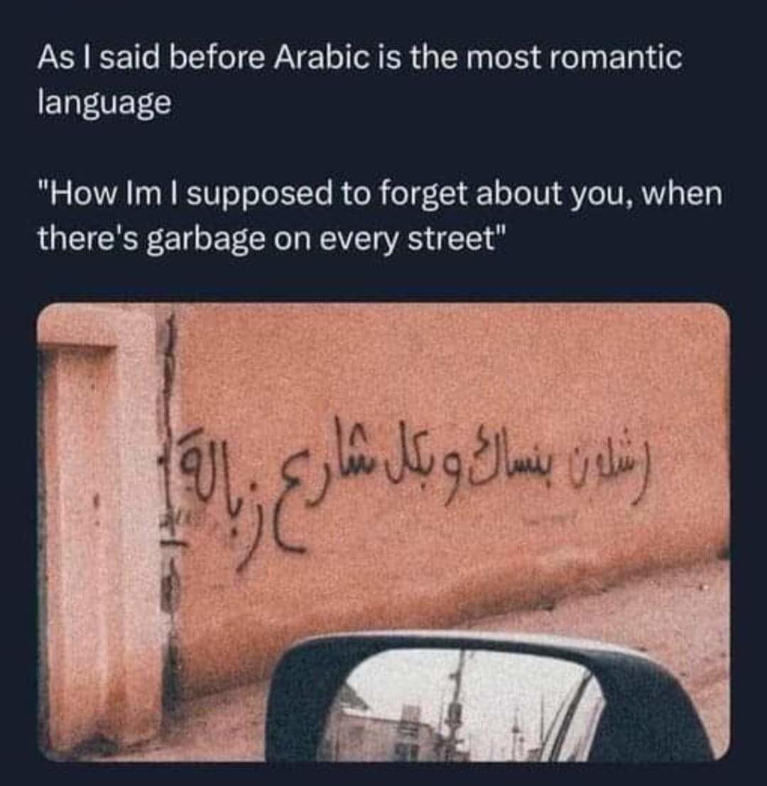 Arabic graffiti translating to a savage roast about garbage in a funny meme.