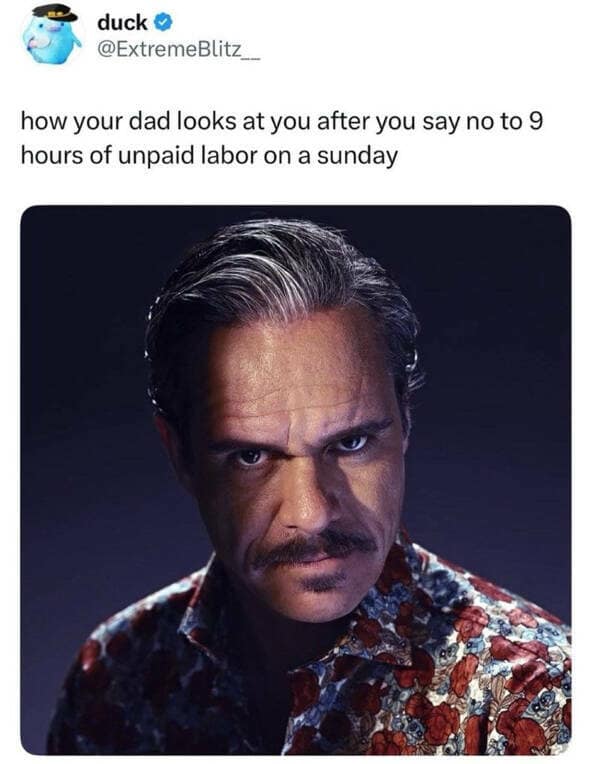 Lalo Salamanca from Better Call Saul staring intensely in a funny meme about dad chores.