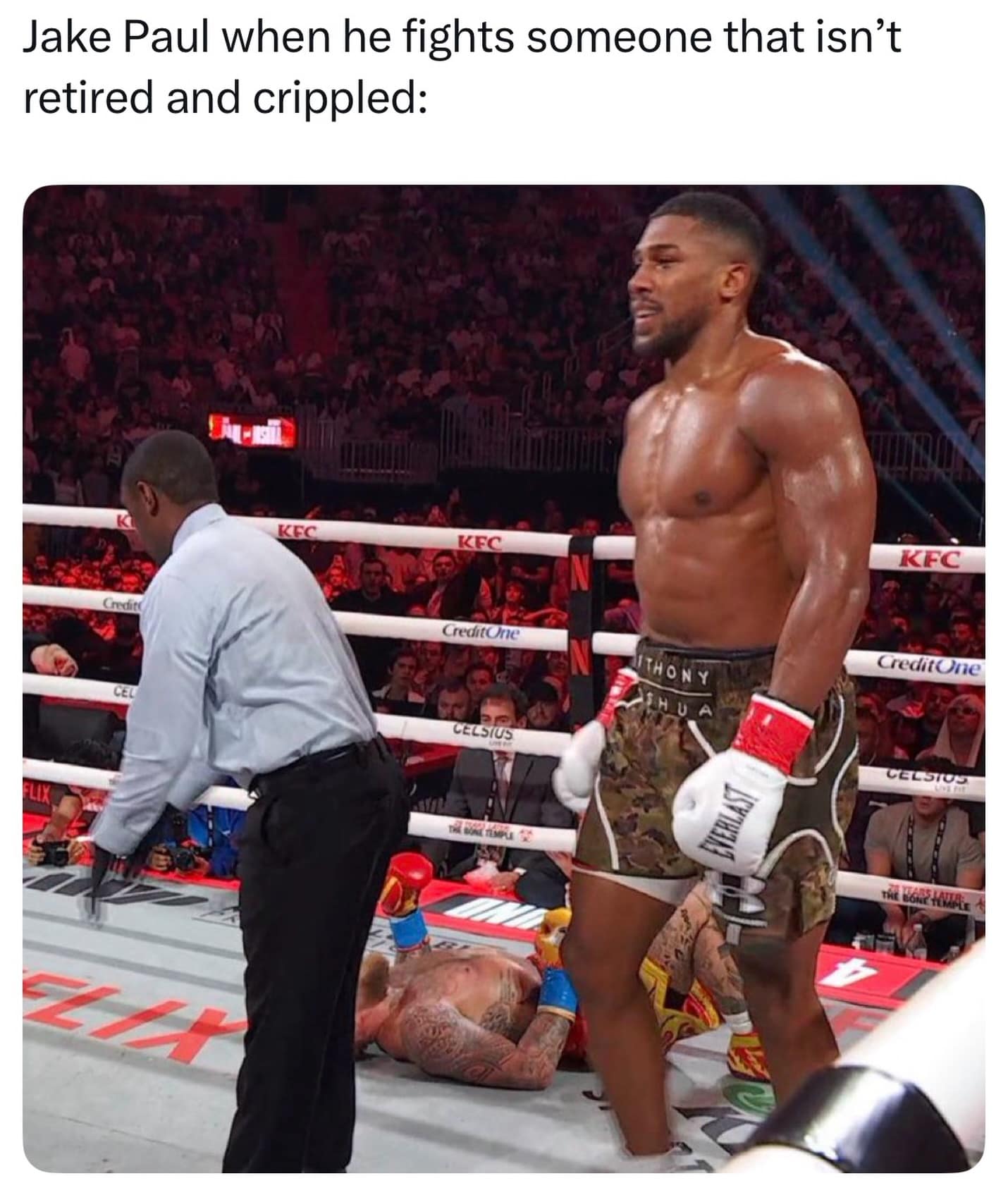 A hilarious meme editing Jake Paul to look tiny next to a massive Anthony Joshua in a boxing ring.