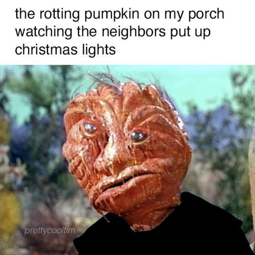 Decomposing jack-o-lantern watching Christmas lights go up in a funny meme