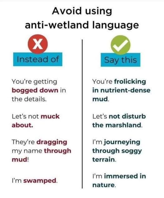 A funny meme chart suggesting pro-wetland language alternatives to common phrases.