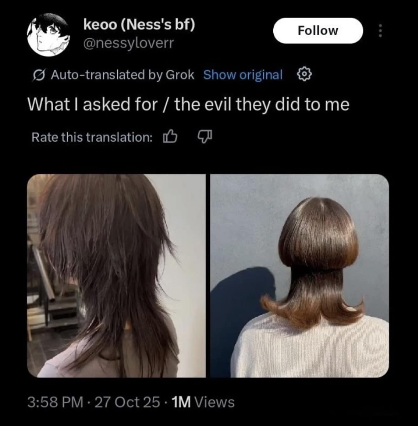 Disastrous expectation versus reality haircut comparison funny meme