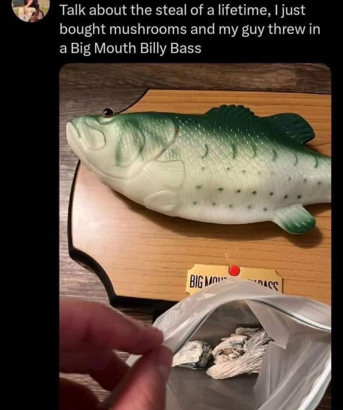 Big Mouth Billy Bass singing fish included in a deal funny meme
