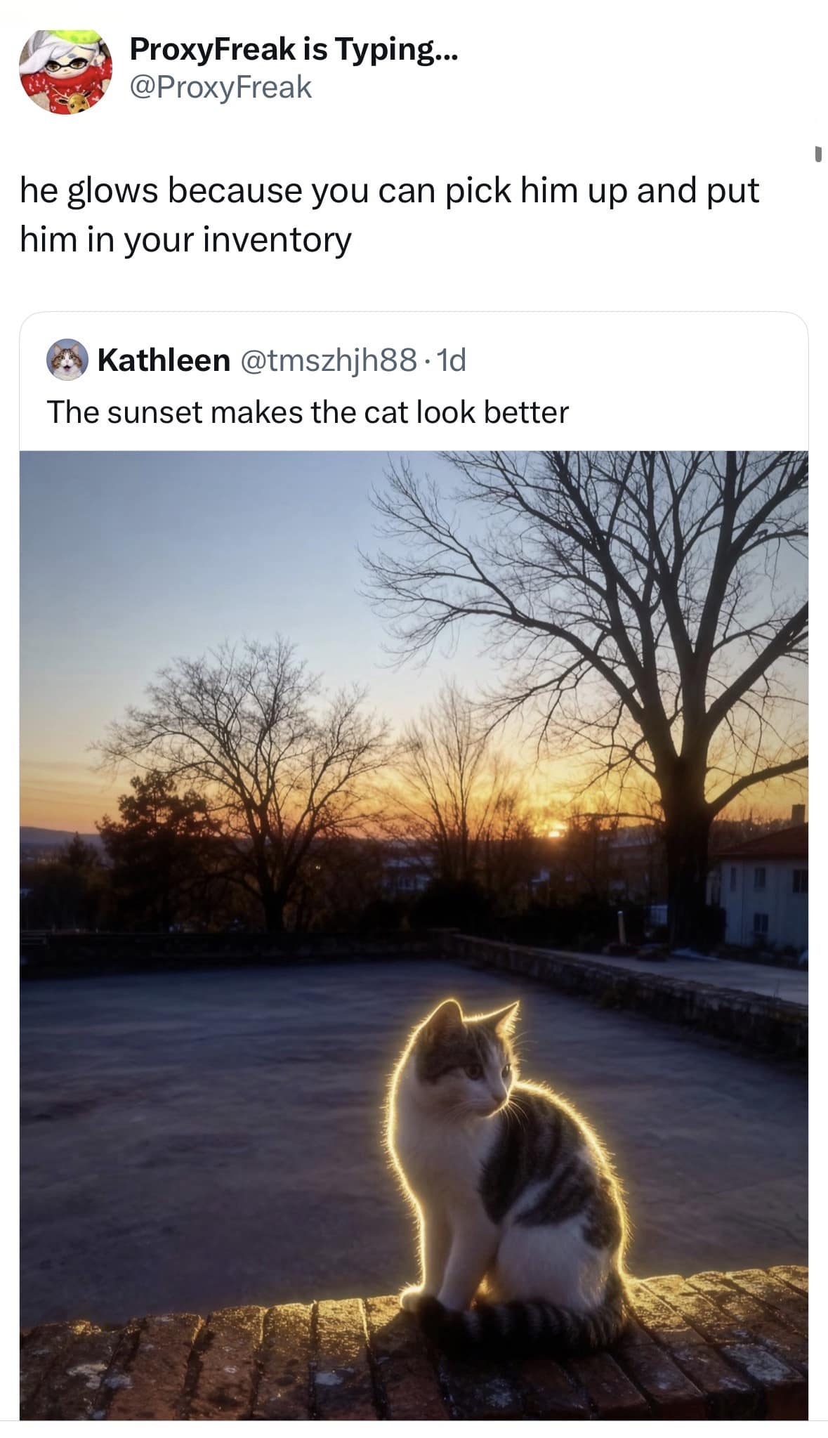 A funny meme of a cat glowing in the sunset captioned about being a quest item for an inventory.