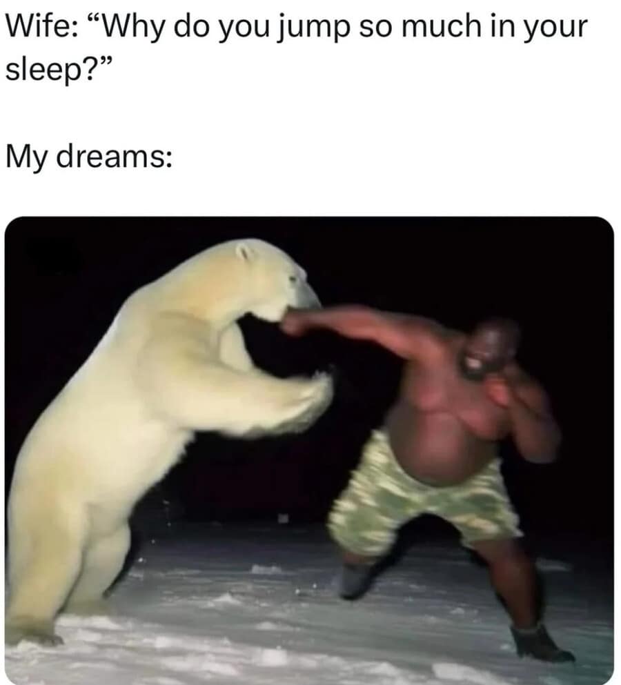 A funny meme comparing a wife's question about jumping in sleep to a dream about fighting a polar bear.