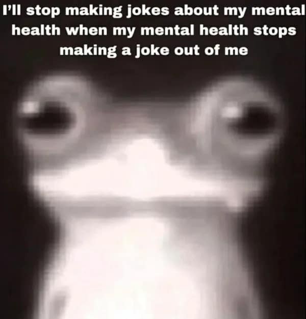 A hilarious meme of a staring frog making a joke about mental health making a joke of him.