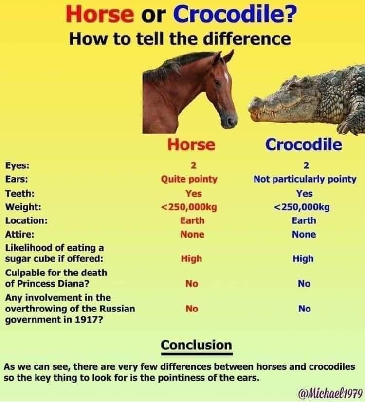 Absurdist chart comparing a horse to a crocodile in a funny meme.