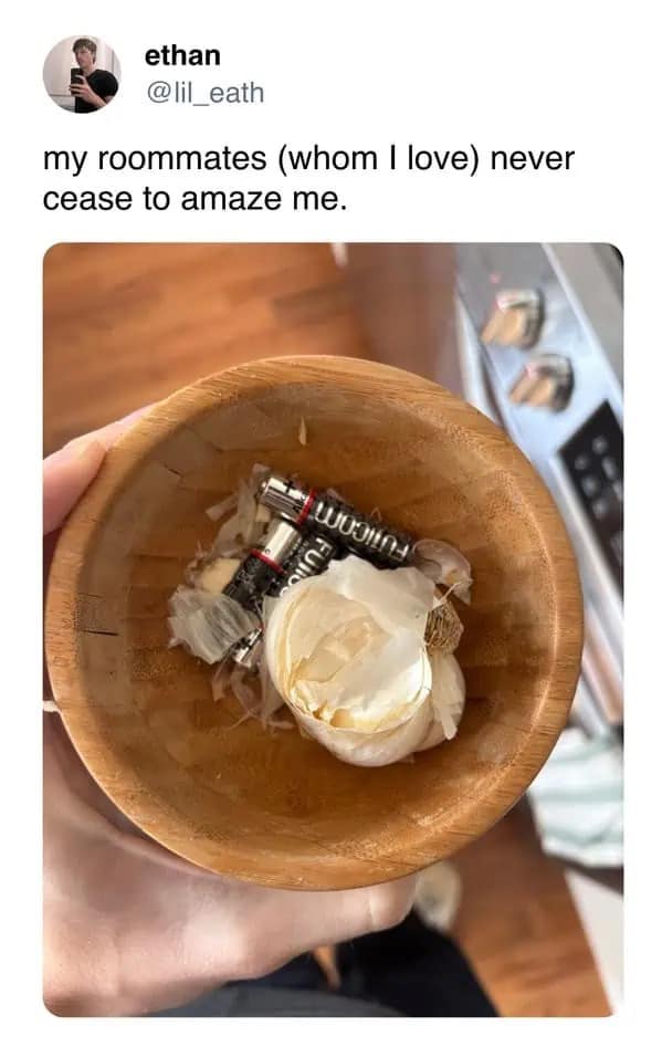 Bowl filled with garlic cloves and AA batteries in a confused funny meme.