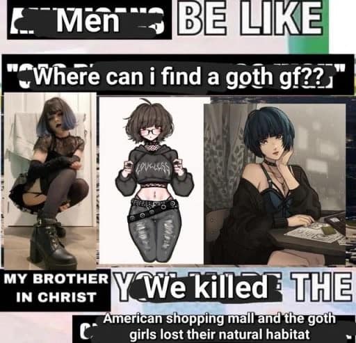 A funny meme explaining that men can't find goth girlfriends because malls were killed.