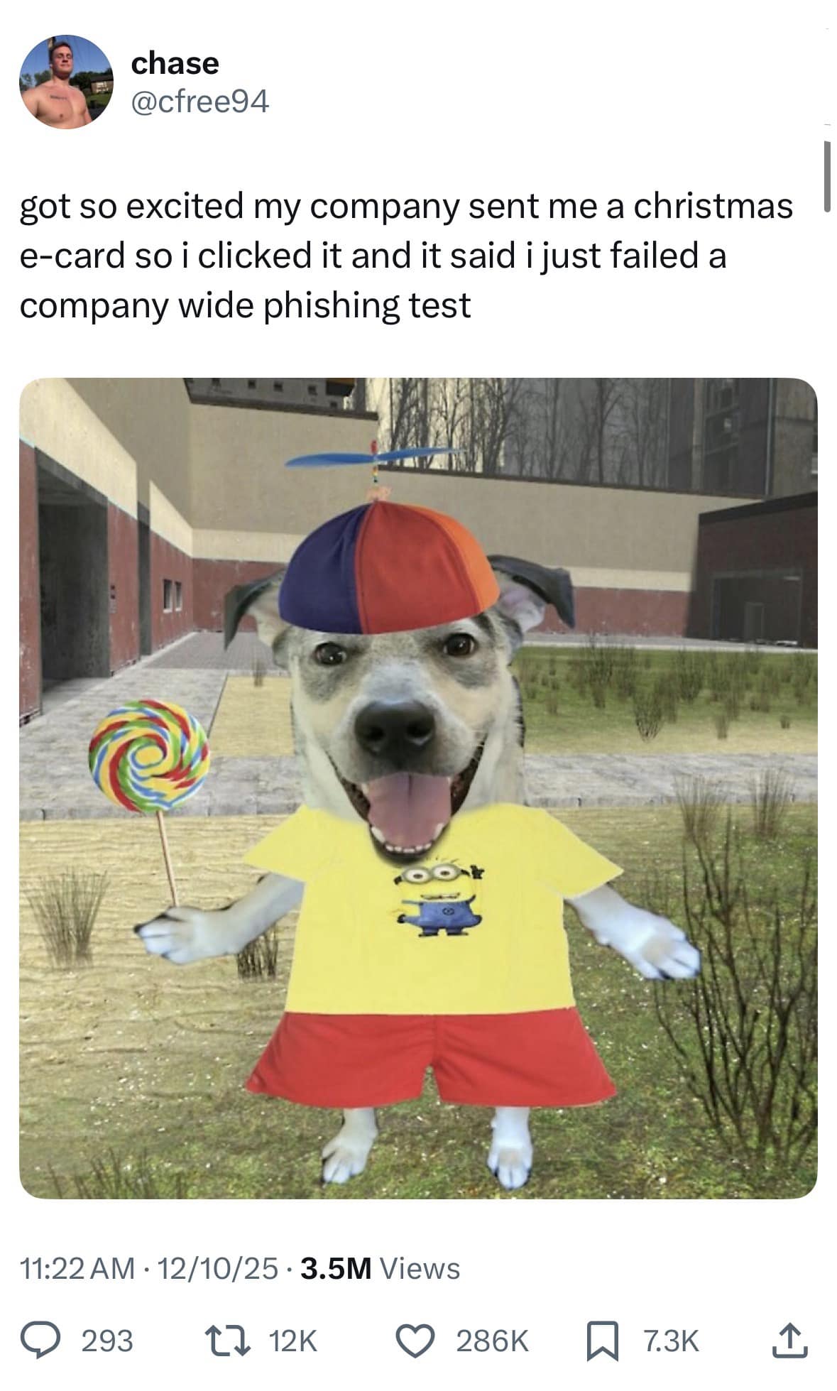 A funny meme of a dog in a minion shirt holding a lollipop about failing a company phishing test.