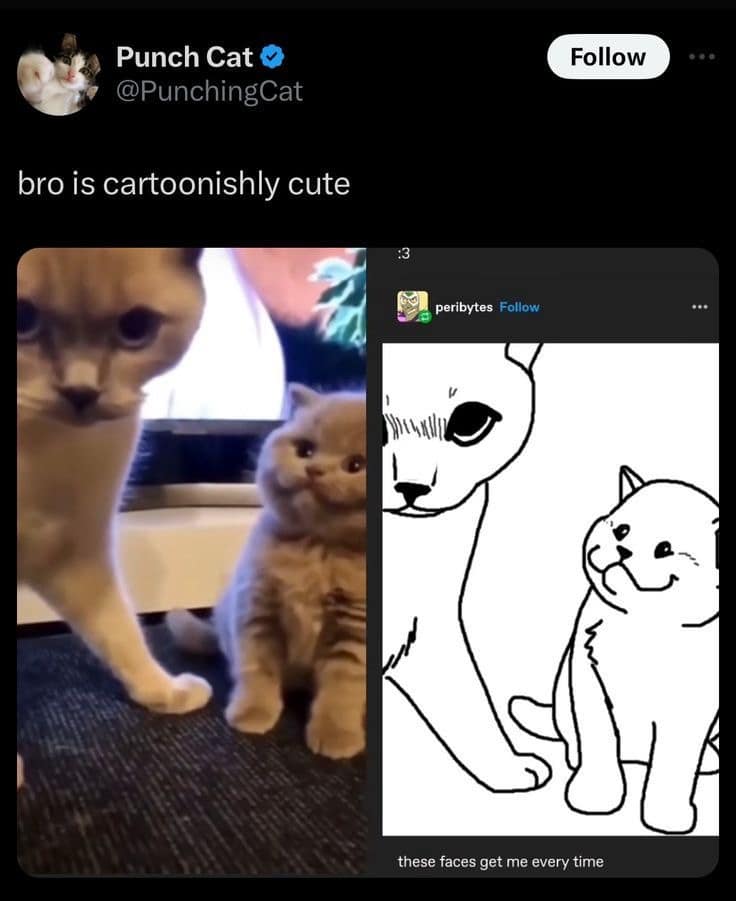 A hilarious meme comparing a fluffy cat to a poorly drawn cartoon cat sketch.