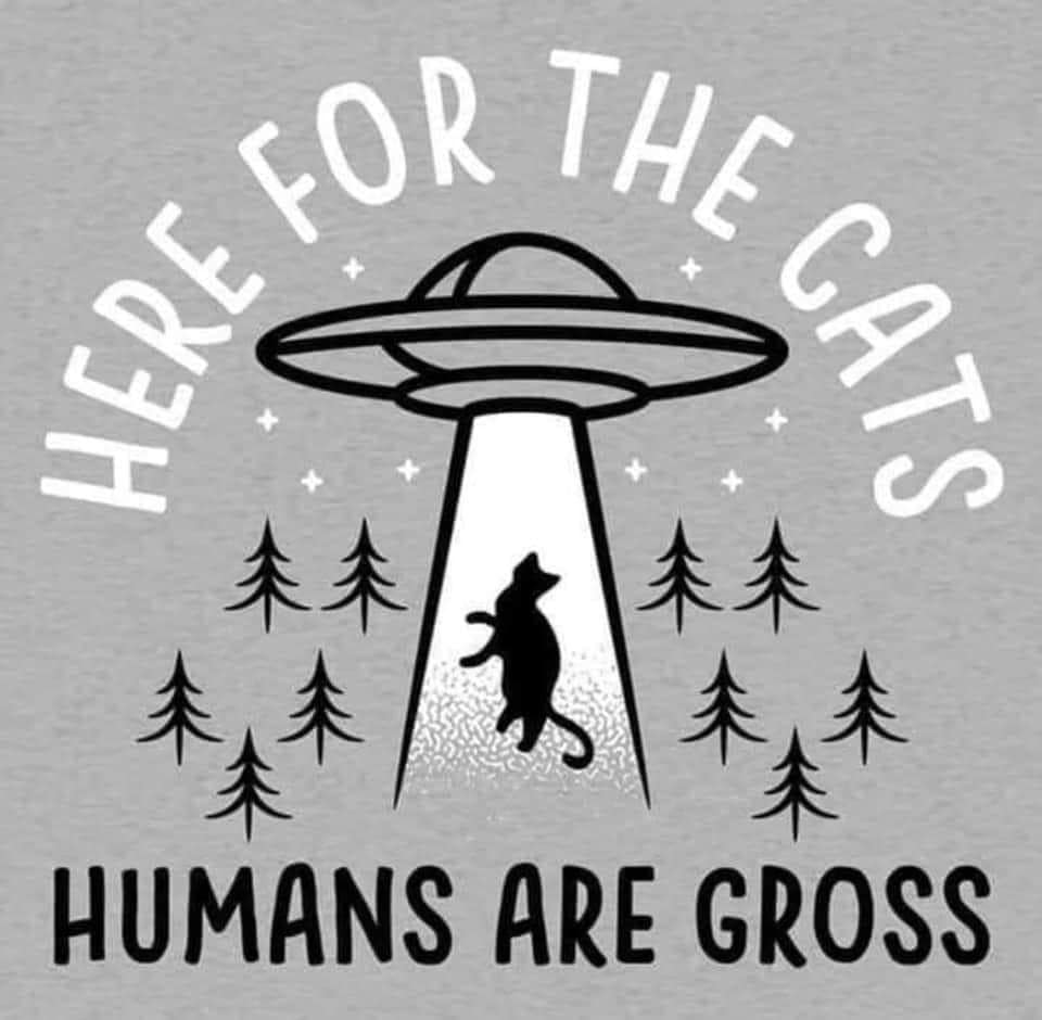 A funny meme of a UFO abducting a cat while rejecting humans.
