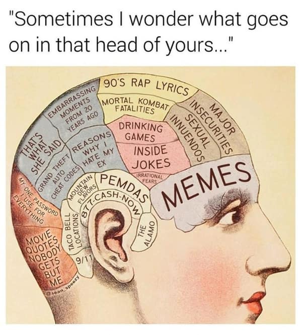 Vintage phrenology head diagram showing a brain filled mostly with memes and 90s rap lyrics.