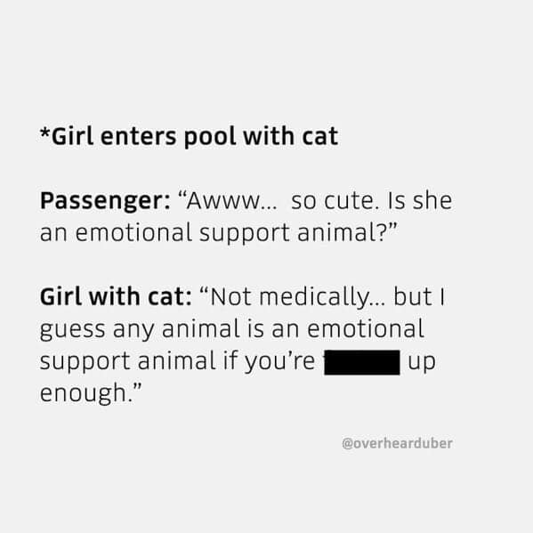 An overheard uber interaction about a cat being used as an emotional support animal